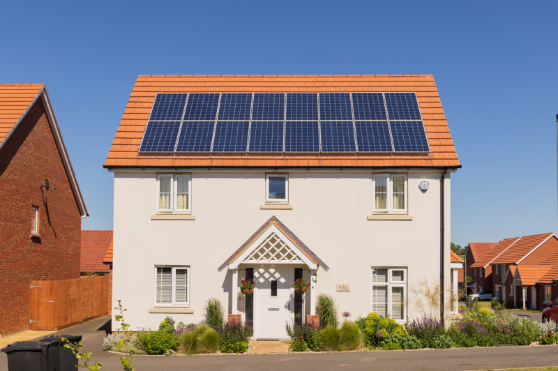 ESG and Sustainability